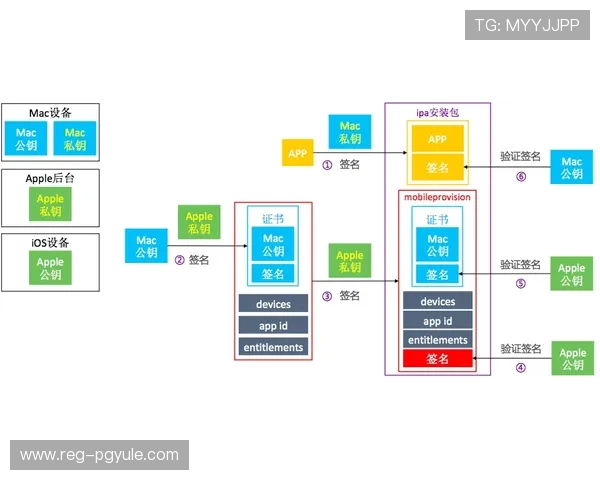 AG国际入口多渠道登录方式，满足不同设备用户的便捷访问需求