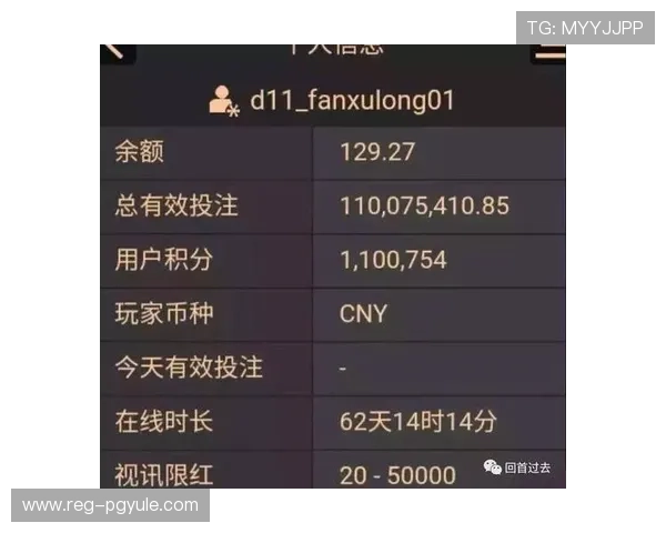 AG百家乐代理盈利模式详解及提升代理收益的实用技巧